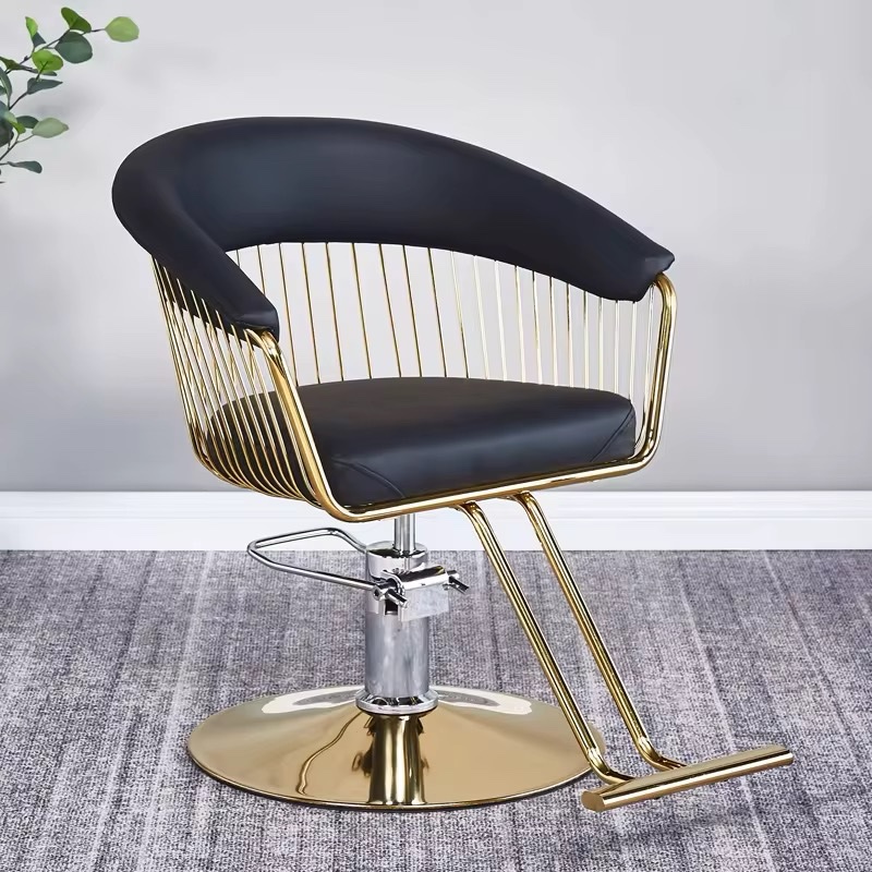 WSSC1 Salon Styling Chair