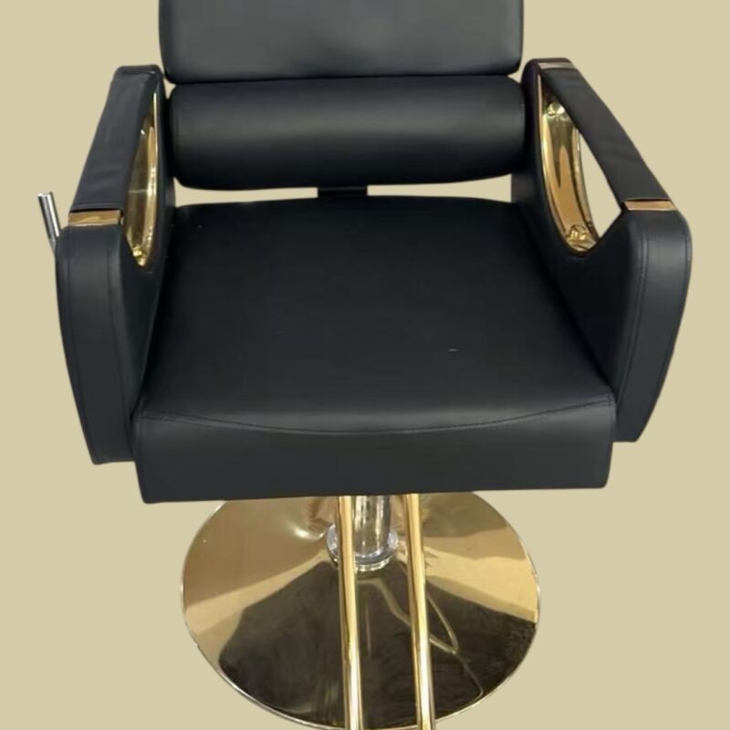 WRSSC1 RecliningSalon Styling Chair